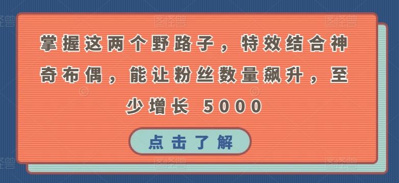 掌握这两个野路子，特效结合神奇布偶，能让粉丝数量飙升，至少增长 5000【揭秘】-凌秋网创