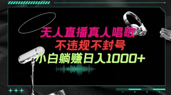 抖音24小时无人直播音乐，不违规，不封号纯撸音浪，小白实操当天日入1000+【揭秘】-凌秋网创