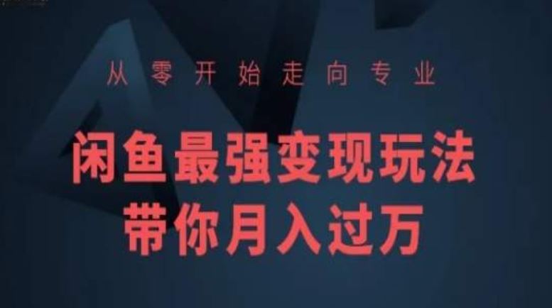 从零开始走向专业，闲鱼最强变现玩法带你月入过万-凌秋网创