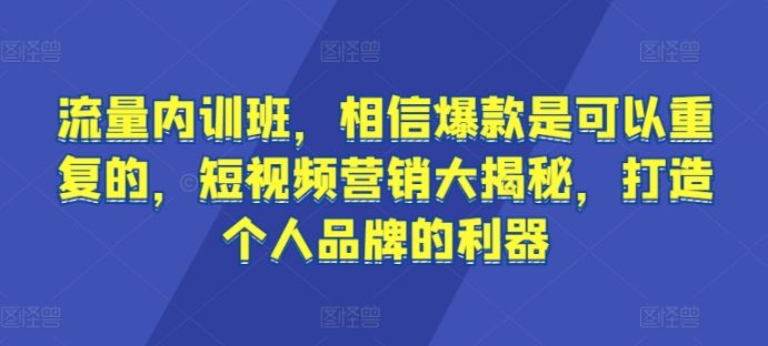 流量内训班，相信爆款是可以重复的，短视频营销大揭秘，打造个人品牌的利器-凌秋网创