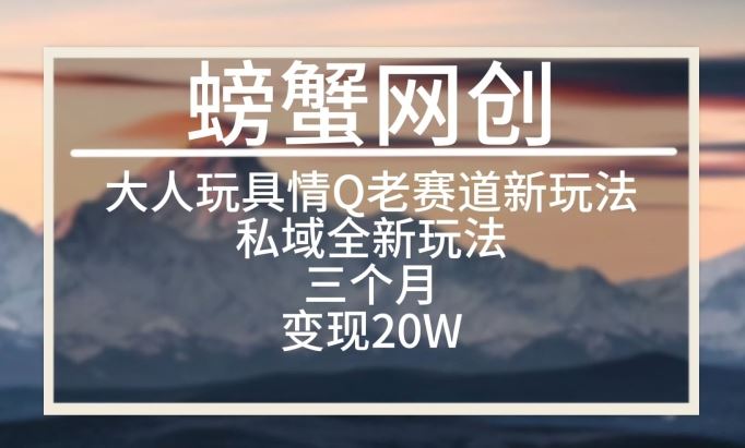 大人玩具情Q用品赛道私域全新玩法，三个月变现20W，老项目新思路【揭秘】-凌秋网创