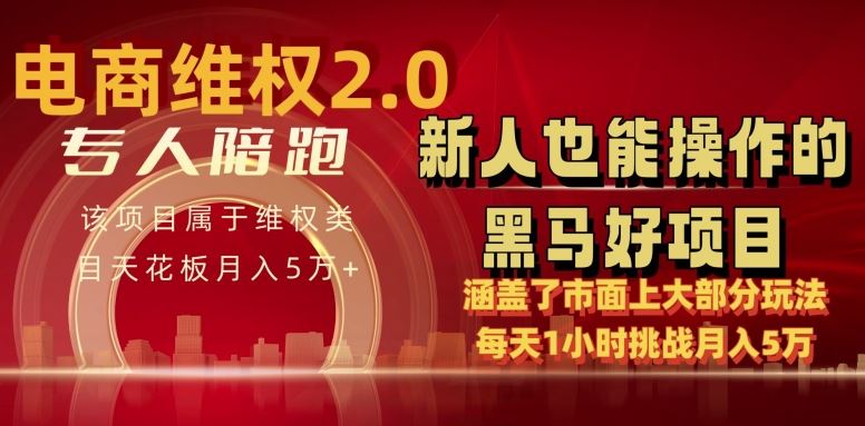 电商维权 4.0 如何做到月入 5 万+每天 1 小时新人也能快速上手【仅揭秘】-凌秋网创