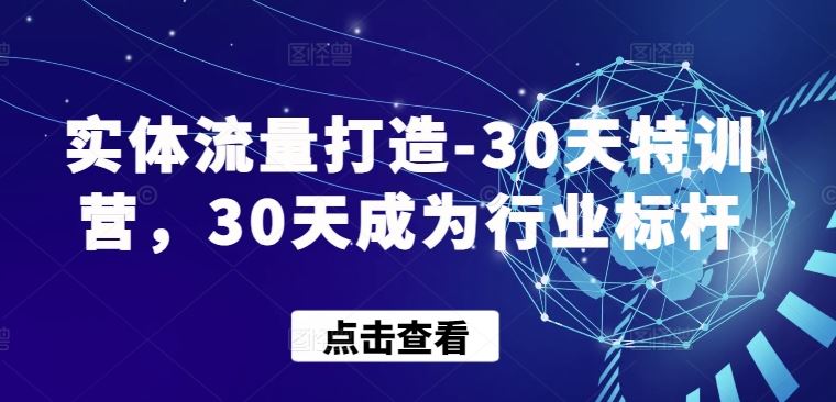 实体流量打造-30天特训营，30天成为行业标杆-凌秋网创