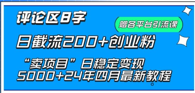 抖音评论区8字日截流200+创业粉 “卖项目”日稳定变现5000+【揭秘】-凌秋网创