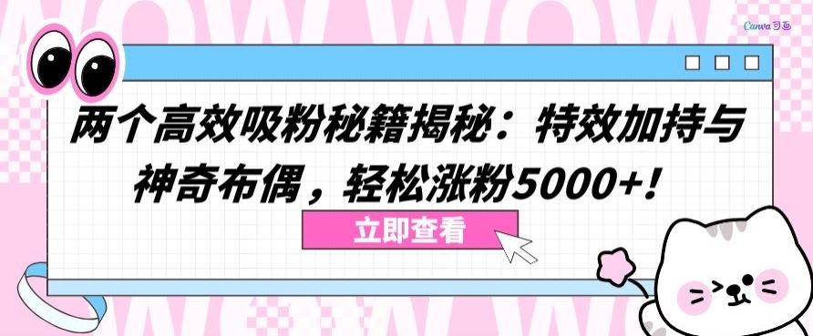 两个高效吸粉秘籍揭秘：特效加持与神奇布偶，轻松涨粉5000+【揭秘】-凌秋网创