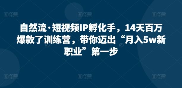 自然流·短视频IP孵化手，14天百万爆款了训练营，带你迈出“月入5w新职业”第一步-凌秋网创
