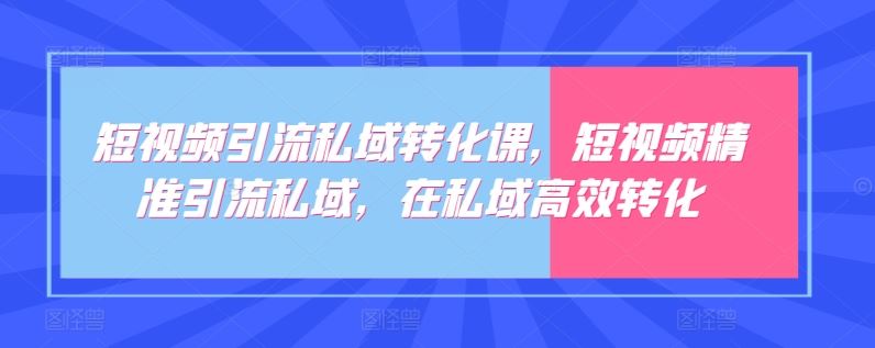 短视频引流私域转化课，短视频精准引流私域，在私域高效转化-凌秋网创