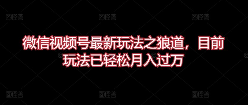 微信视频号最新玩法之狼道，目前玩法已轻松月入过万【揭秘】-凌秋网创