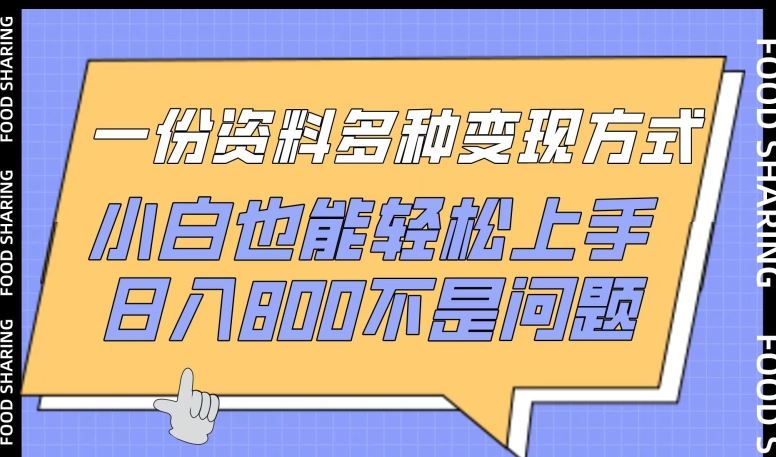 一份资料多种变现方式，小白也能轻松上手，日入800不是问题【揭秘】-凌秋网创