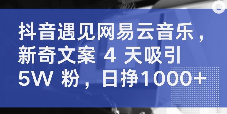 抖音遇见网易云音乐，新奇文案 4 天吸引 5W 粉，日挣1000+【揭秘】-凌秋网创