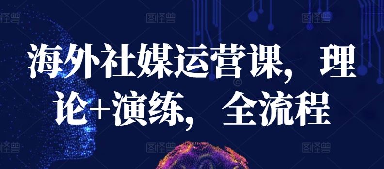 海外社媒运营课，理论+演练，全流程-凌秋网创