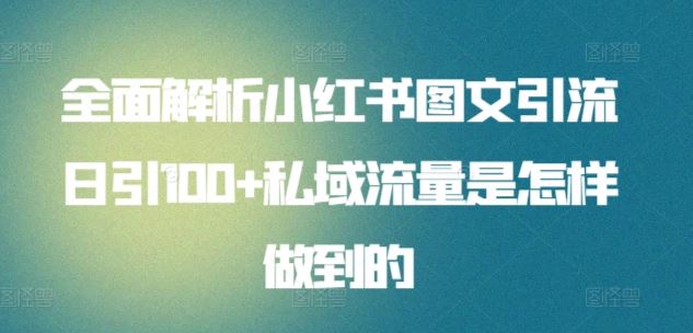 全面解析小红书图文引流日引100+私域流量是怎样做到的【揭秘】-凌秋网创