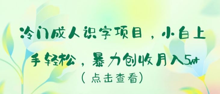 冷门成人识字项目，小白上手轻松，暴力创收月入5w+【揭秘】-凌秋网创