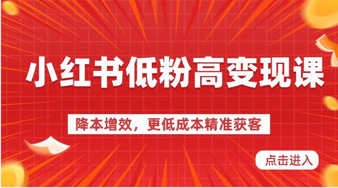 小红书低粉高变现课-降本增效，更低成本精准获客，小红书必爆的流量密码-凌秋网创
