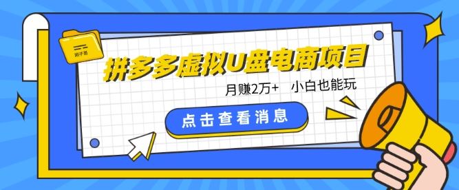 拼多多虚拟U盘电商红利项目：月赚2万+，新手小白也能玩-凌秋网创