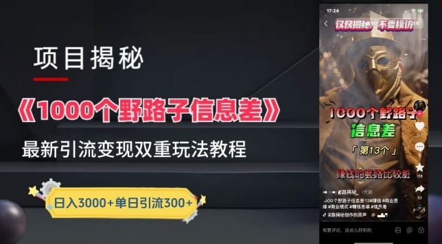 一千个野路子信息差最新玩法教程-变现+引流的玩法具体拆解【揭秘】-凌秋网创