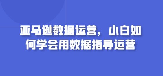 亚马逊数据运营，小白如何学会用数据指导运营-凌秋网创