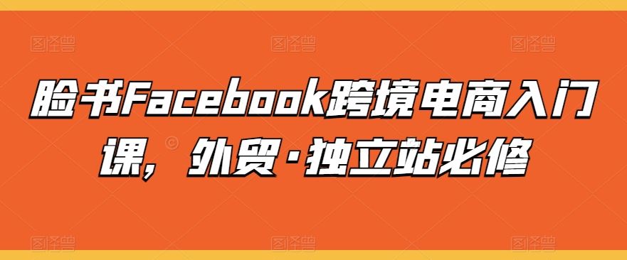脸书Facebook跨境电商入门课，外贸·独立站必修-凌秋网创
