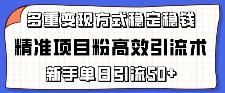 精准项目粉高效引流术，新手单日引流50+，多重变现方式稳定赚钱【揭秘】-凌秋网创