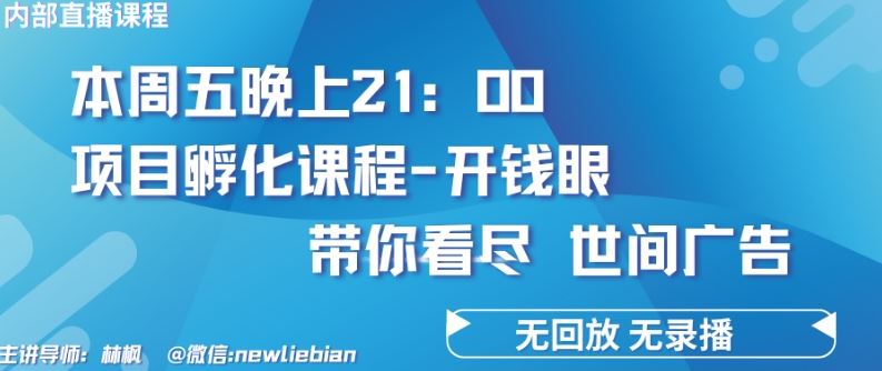 4.26日内部回放课程《项目孵化-开钱眼》赚钱的底层逻辑【揭秘】-凌秋网创