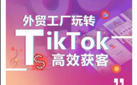 外贸工厂玩转TikTok高效获客，多种引流方式与账号定位技巧，拆解爆款短视频打造成功案例-凌秋网创