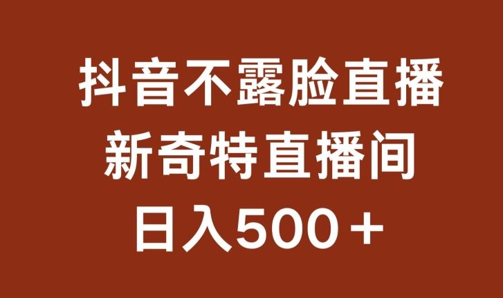 不露脸挂机直播，新奇特直播间，日入500+【揭秘】-凌秋网创
