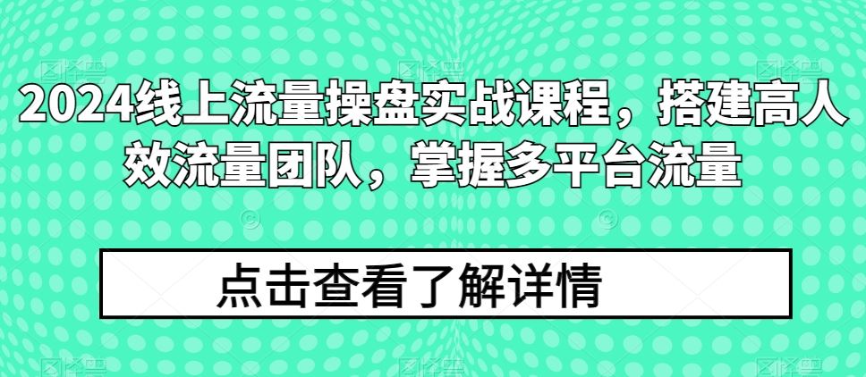 2024线上流量操盘实战课程，搭建高人效流量团队，掌握多平台流量-凌秋网创