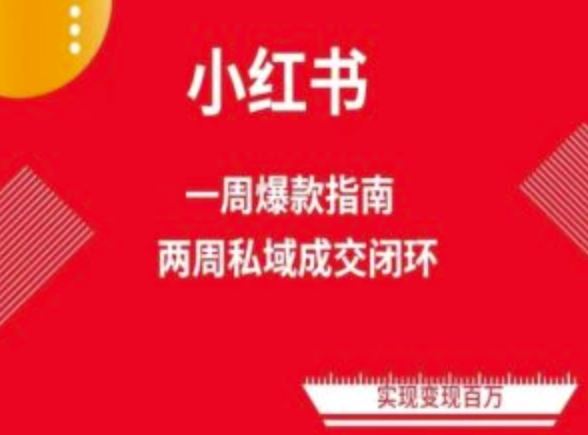 爆款小红书免费流量体系课程(两周变现)，小红书电商教程-凌秋网创