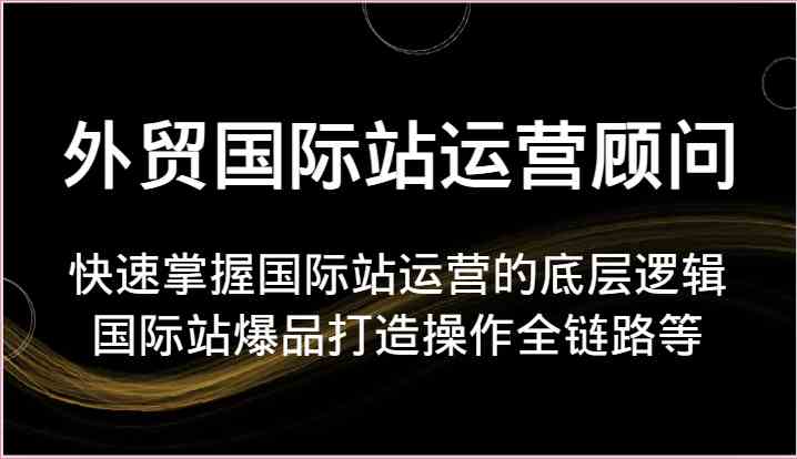 外贸国际站运营顾问-快速掌握国际站运营的底层逻辑，国际站爆品打造操作全链路等-凌秋网创