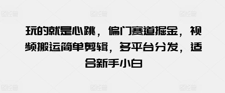 玩的就是心跳，偏门赛道掘金，视频搬运简单剪辑，多平台分发，适合新手小白【揭秘】-凌秋网创