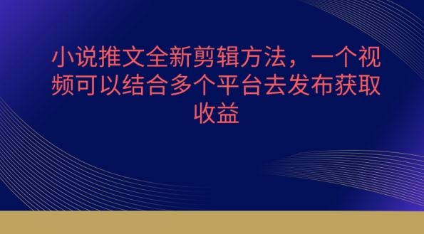 小说推文全新剪辑方法，一个视频可以结合多个平台去发布获取【揭秘】-凌秋网创