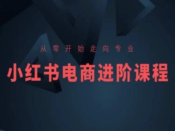 从零开始走向专业，小红书电商进阶课程-凌秋网创