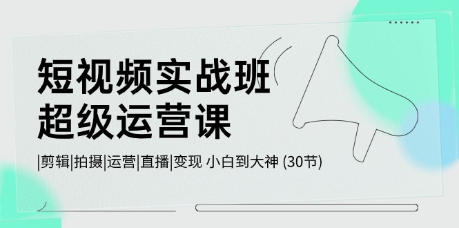 短视频实战班超级运营课 |剪辑|拍摄|运营|直播|变现 小白到大神 (30节)-凌秋网创