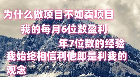 做项目不如卖项目，每月6位数盈利，年7位数经验-凌秋网创