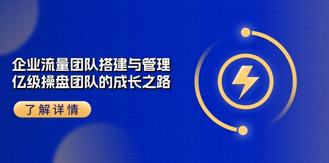 企业流量团队搭建与管理，亿级操盘团队的成长之路（28节课）-凌秋网创