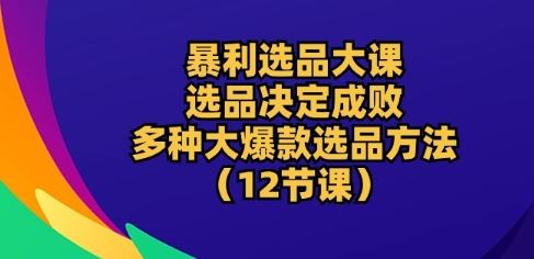 暴利选品大课：选品决定成败，教你多种大爆款选品方法(12节课)-凌秋网创