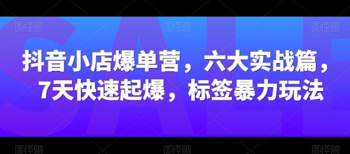 抖音小店爆单营，六大实战篇，7天快速起爆，标签暴力玩法-凌秋网创