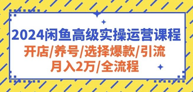 2024闲鱼高级实操运营课程：开店/养号/选择爆款/引流/月入2万/全流程-凌秋网创