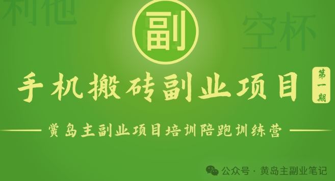 手机搬砖小副业项目训练营1.0，实测1小时收益50+，一部手机轻松日入100+-凌秋网创
