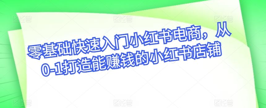 零基础快速入门小红书电商，从0-1打造能赚钱的小红书店铺-凌秋网创
