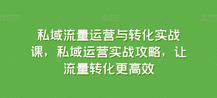 私域流量运营与转化实战课，私域运营实战攻略，让流量转化更高效-凌秋网创