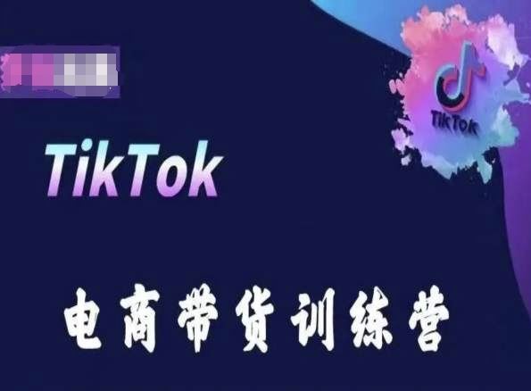 TikTok电商带货训练营，跟随时代潮流，跨境掘金-凌秋网创