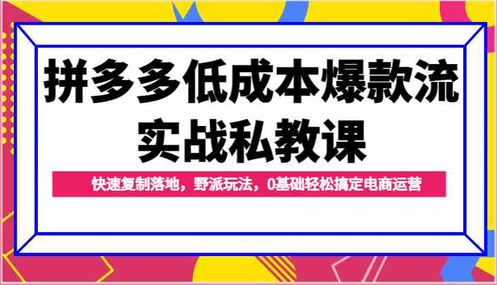 拼多多低成本爆款流实战私教课，快速复制落地，野派玩法，0基础轻松搞定电商运营-凌秋网创