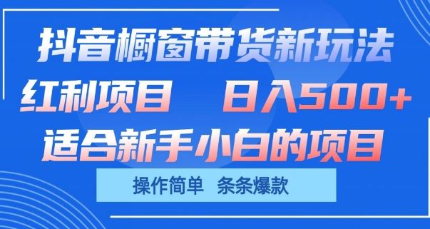 抖音橱窗带货新玩法，单日收益几张，操作简单，条条爆款【揭秘】-凌秋网创