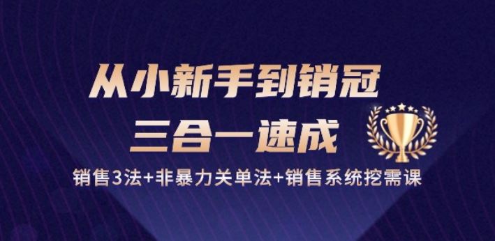从小新手到销冠 三合一速成：销售3法+非暴力关单法+销售系统挖需课 (27节)-凌秋网创