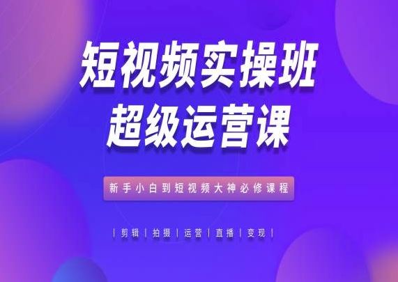 短视频实操班超级运营课，新手小白到短视频大神必修课程-凌秋网创
