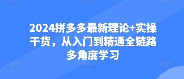 2024拼多多最新理论+实操干货，从入门到精通全链路多角度学习-凌秋网创