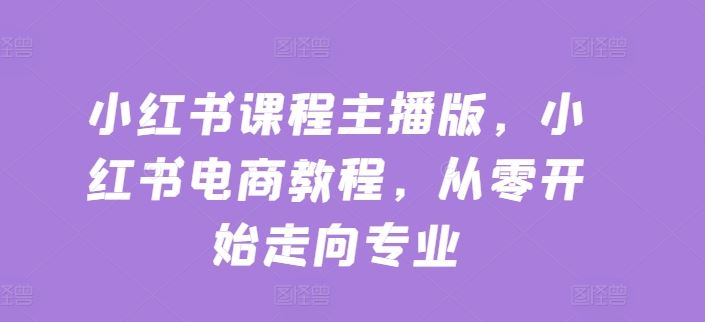 小红书课程主播版，小红书电商教程，从零开始走向专业-凌秋网创