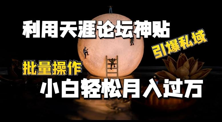 利用天涯论坛神贴，引爆私域，批量操作，小白轻松月入过w【揭秘】-凌秋网创
