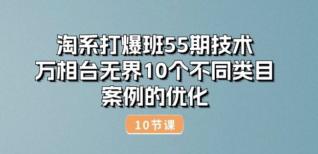 淘系打爆班55期技术：万相台无界10个不同类目案例的优化(10节)-凌秋网创
